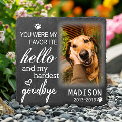 img_6596356