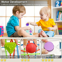 Montessori Shape Sorter Toy for 1 Year Olds