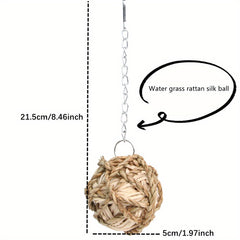 Interactive Pet Hanging Grass Ball for Hamsters