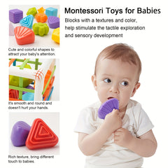 Montessori Shape Sorter Toy for 1 Year Olds