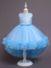 Girls Puffy Tail Princess Dress Bow Embroidery Tulle Tutu