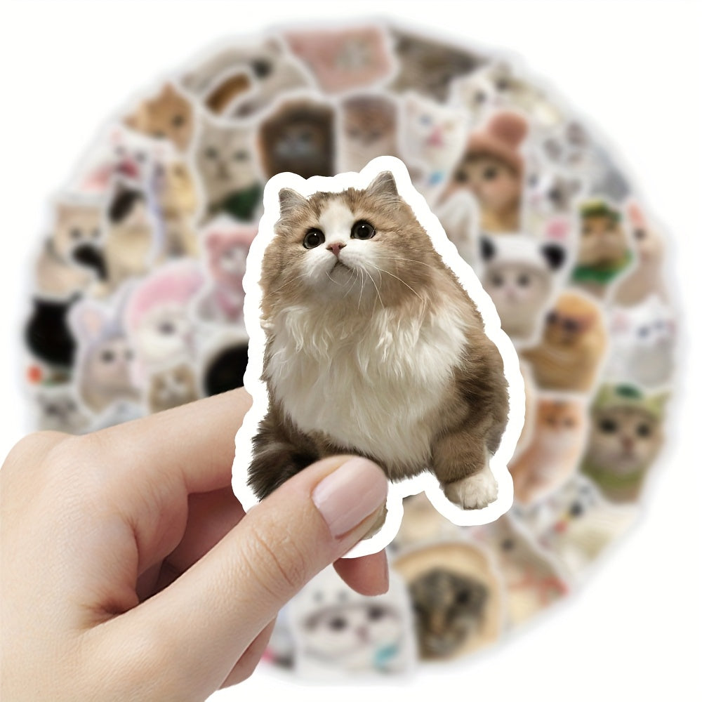 60pcs Cat Sticker Pack Waterproof Vinyl Stickers Mixed Colors