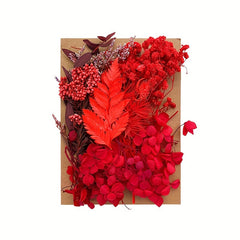 Dried Flowers For Resin, Pressed Flowers, DIY Craft Supplies