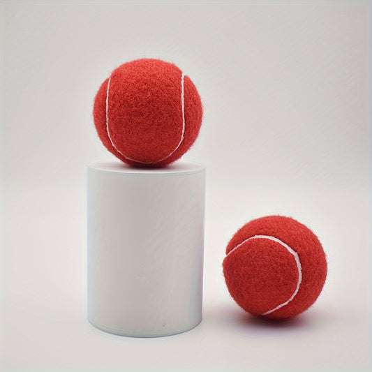 2pcs High Elasticity Tennis Balls for Beginners
