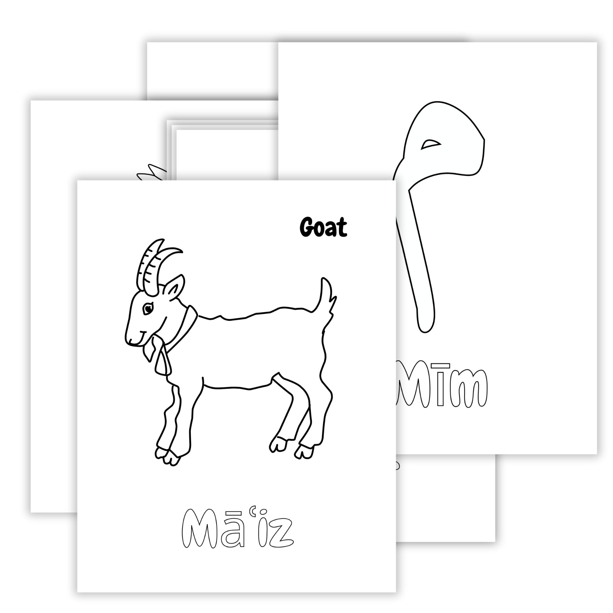 Arabic Alphabet Colouring Sheets for Kids - Islamic Vocabulary Pages