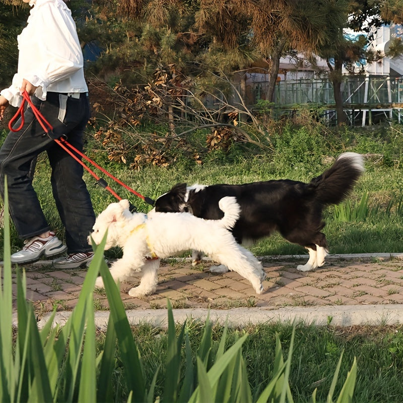 img_5540959