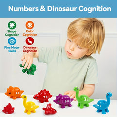 Dinosaur Counting Learning Toy for Kids Boy