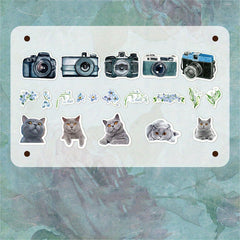 40pcs Vintage Plant & Flower Cat Stickers for DIY Crafts