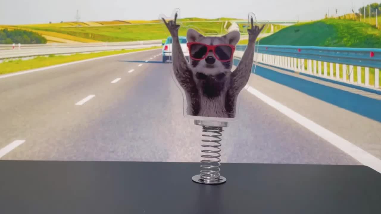 Acrylic Desk Fidget Rockin' Raccoon - Relaxing Office Fun