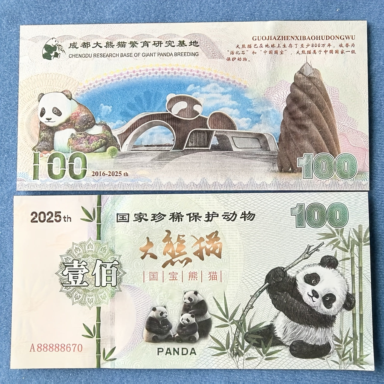 Giant Panda Collectible Banknotes Set