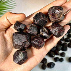 img_10871176