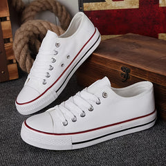 Women's Lace Up Skate Shoes Canvas Low Top Sneakers