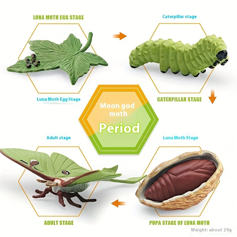 Moon God Moth Life Growth Cycle Toy Set
