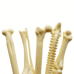10pcs Bone Shape Ballpoint Pens for Halloween Party