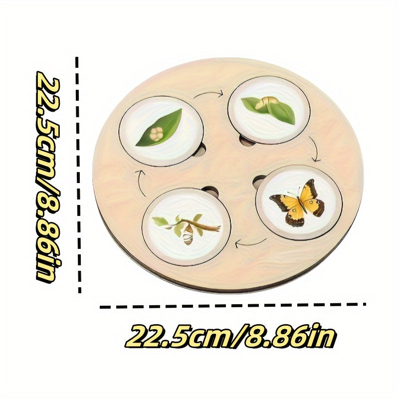 Wooden Life Cycle Board Game Educational Science Toy