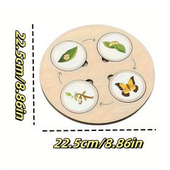 Wooden Life Cycle Board Game Educational Science Toy