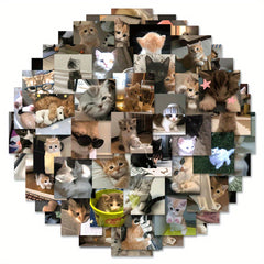 63pcs Cat Stickers High-Quality Adhesive Decals for Laptop Phone Car Planner