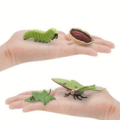 Moon God Moth Life Growth Cycle Toy Set