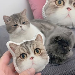img_5197715