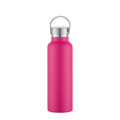 20oz Insulated Water Bottle Steel Lid BPA Free