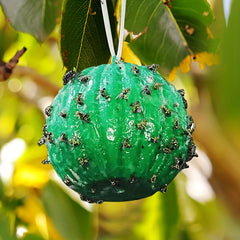 Pumpkin Fly Trap Ball - Instantly Eliminate Flies