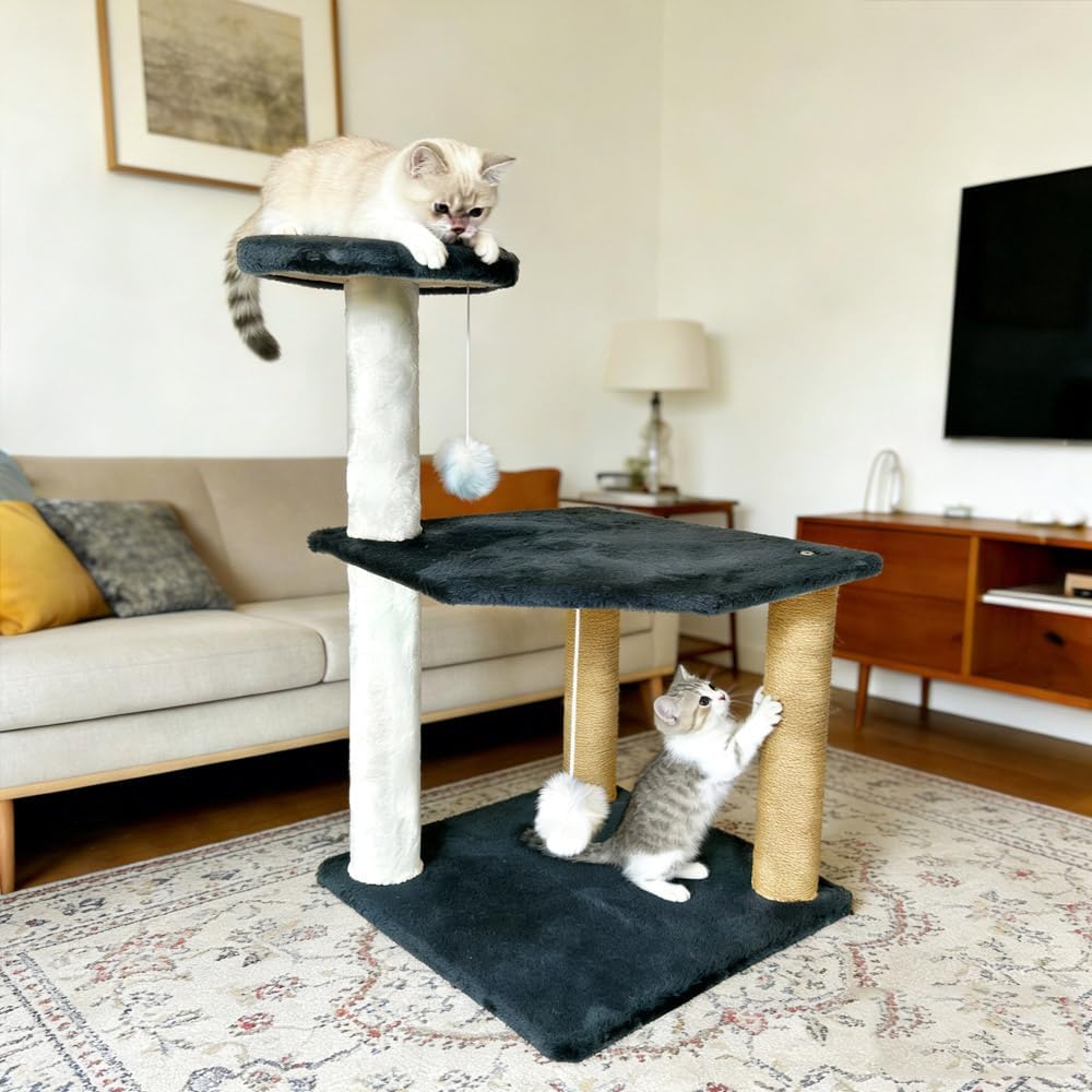 img_6353169