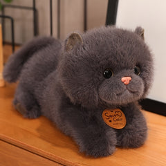 Anime Plush Kitten Doll Soft Cat Toy for Kids