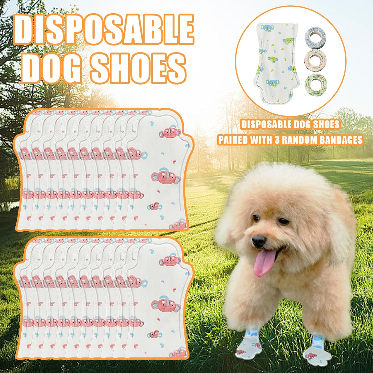 img_4068548