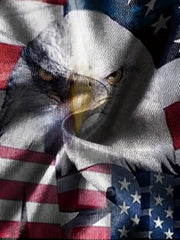 Eagle & Flag Print Kid's Hoodie Unisex Pullover Casual Hooded Long Sleeve Top