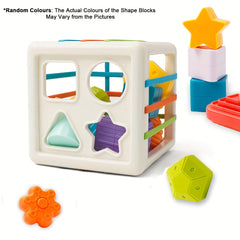 Montessori Shape Sorter Toy for 1 Year Olds