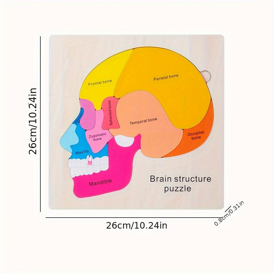Wooden Brain Anatomy Puzzle for Kids Educational Toy