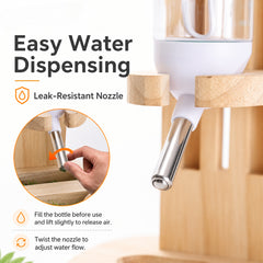 img_5309513