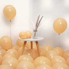 10pcs 10 Inch Matte Bright Latex Balloons Party Supplies