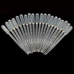 img_12903895