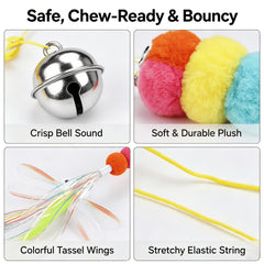 img_5381521