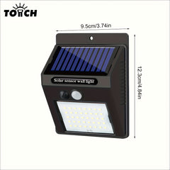 img_10575482