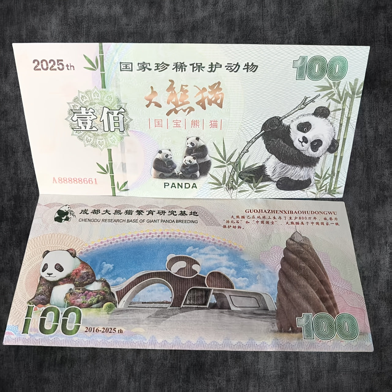 Giant Panda Collectible Banknotes Set