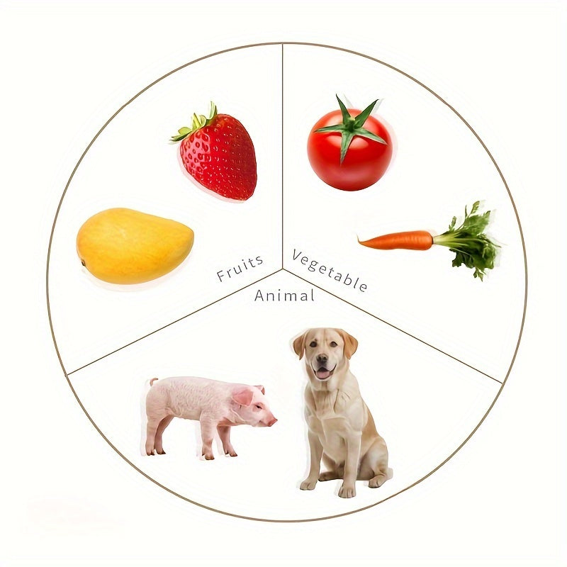 30pcs Realistic Picture Classification Cards for Language Area Teaching
