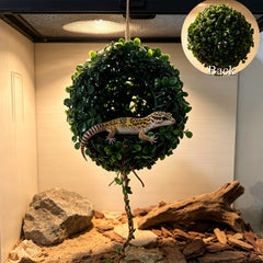 img_6358417