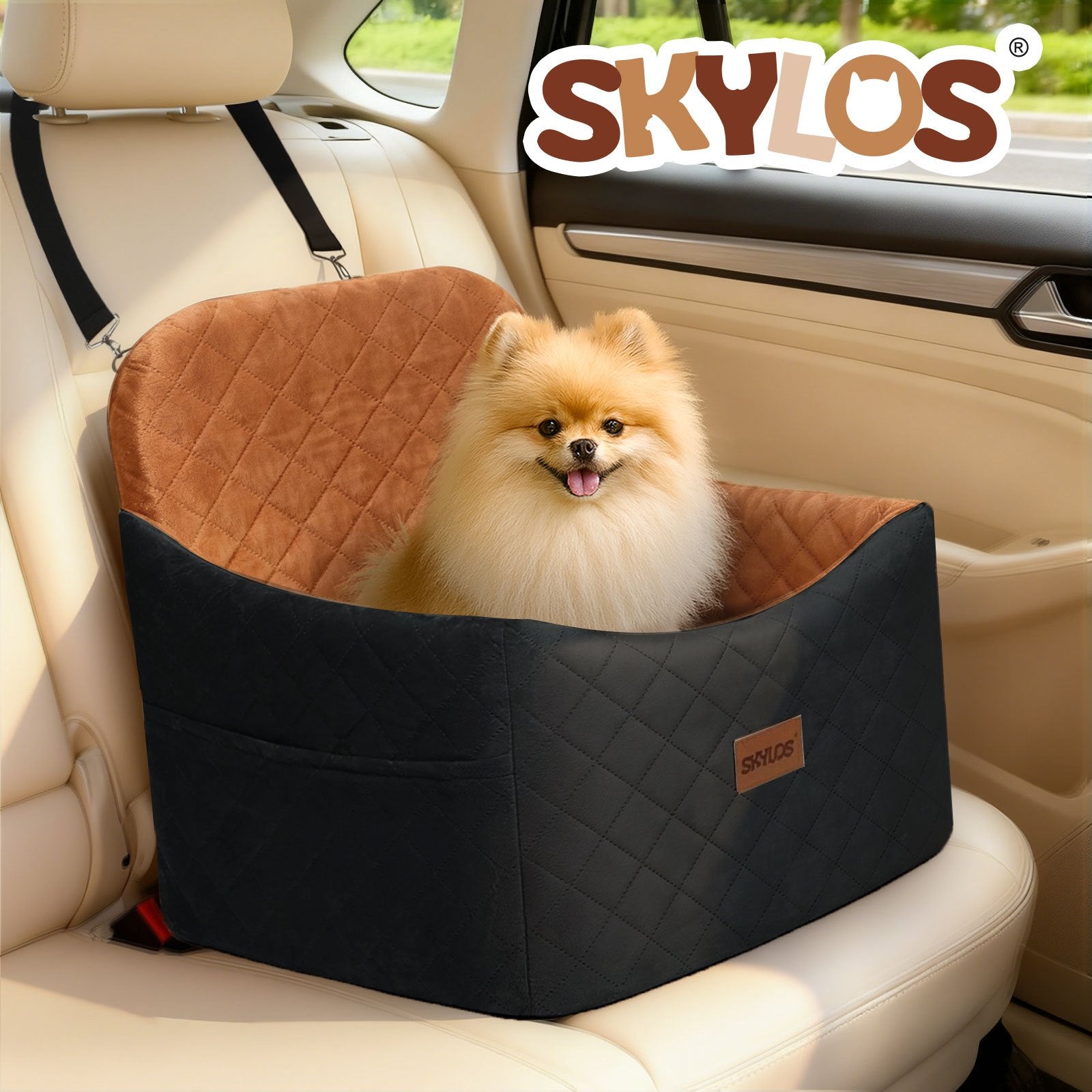 img_7496035