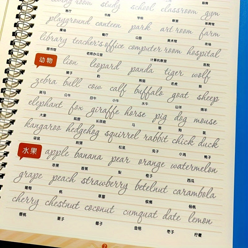 Calligraphy Practice Copybook - Penmanship Guide for Ages 14+