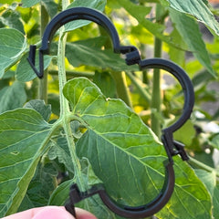30pcs Plant Vine Clips Branch Fastener Tomato Cucumber Climbing Clips