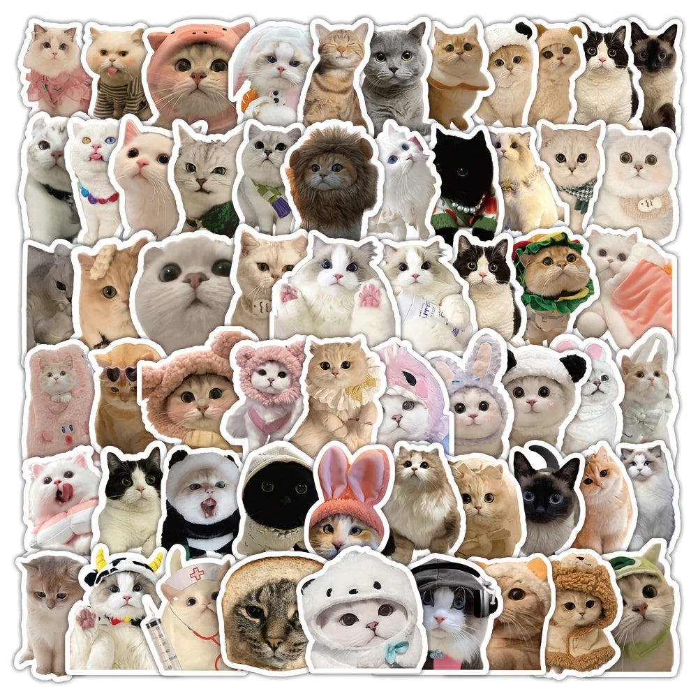 60pcs Cat Sticker Pack Waterproof Vinyl Stickers Mixed Colors