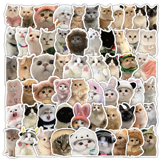 60pcs Cat Sticker Pack Waterproof Vinyl Stickers Mixed Colors