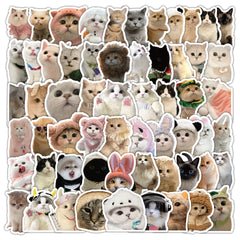 60pcs Cat Sticker Pack Waterproof Vinyl Stickers Mixed Colors