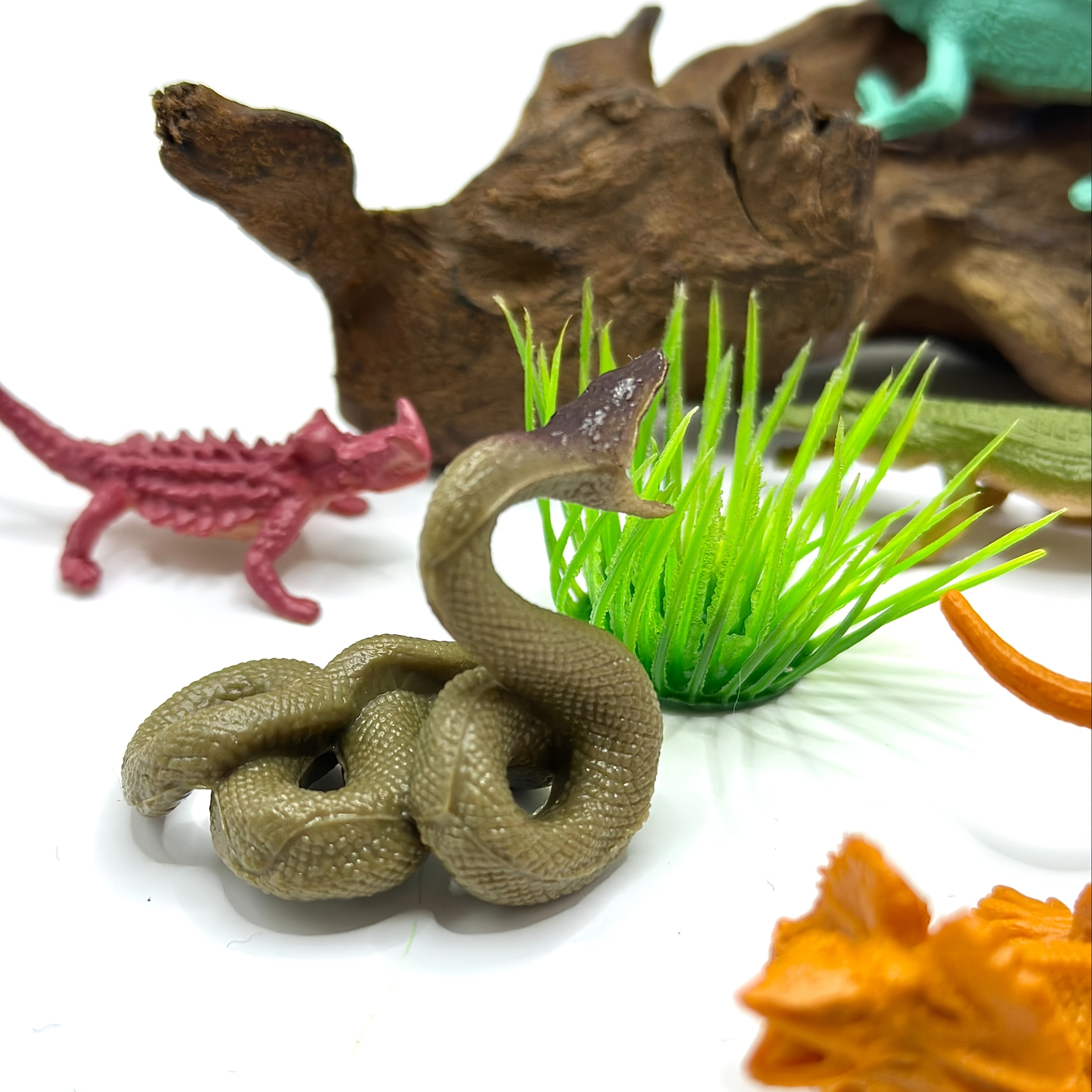 Educational Reptile & Amphibian Figurines PVC Animal Models 12pc Set