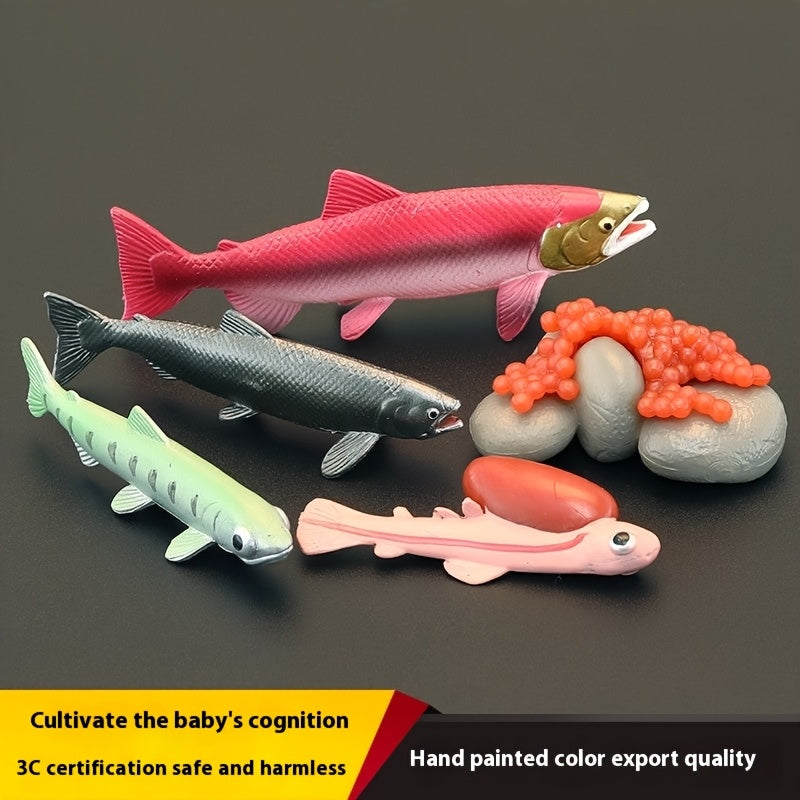 Marine Animals Growth Cycle Models Set