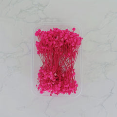 Dried Flower Bouquet Set - Real Naturally Dried Flowers for DIY Crafts