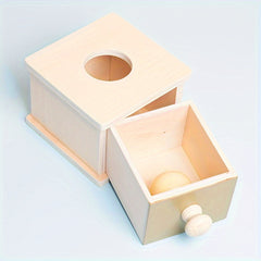 Montessori Coin&Ball Box Toys Object Permanence Toys For Toddlers
