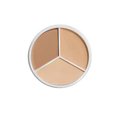 Concealer for Covering Spots Acne Marks Dark Circles